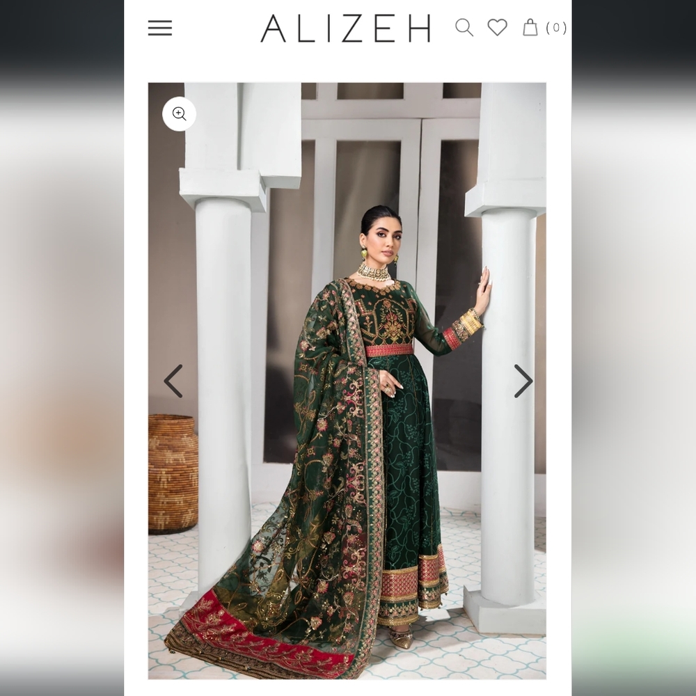 Alizeh Vasl e Miras Gown